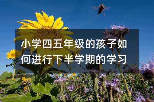 С�W�����꼉�ĺ�������M���°�W�ڵČW��