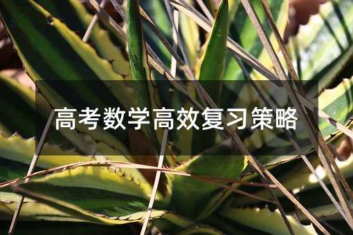 �߿���(sh��)�W(xu��)��Ч��(f��)��(x��)����