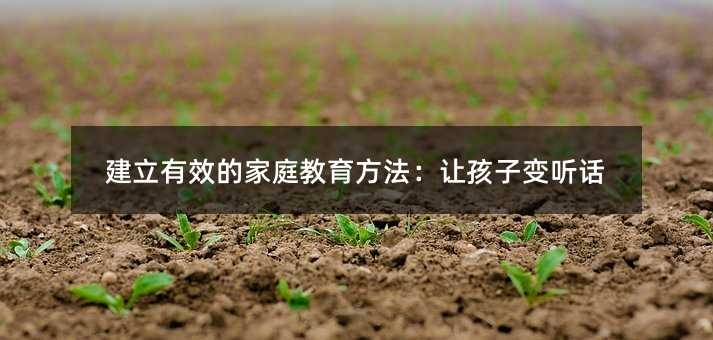 ������Ч�ļ�ͥ����������׌����׃ Ԓ