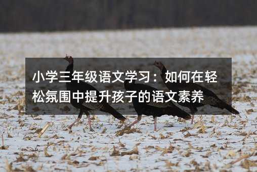 С�W���꼉�Z�ČW����������p�ɷՇ����������ӵ��Z�����B