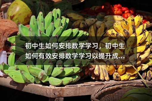 ��������ΰ��Ŕ��W�W���������������Ч���Ŕ��W�W���������ɿ���