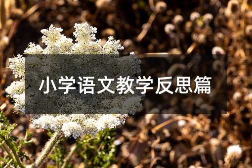 С�W�Z�Ľ̌W��˼ƪ
