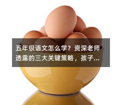 ���꼉�Z����ô�W���Y���ώ�͸¶�������P�I���ԣ���������һ����