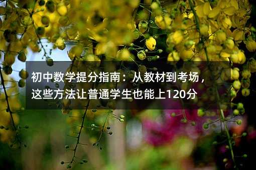 ���Д��W���ָ�ϣ��Ľ̲ĵ��������@Щ����׌��ͨ�W��Ҳ����120��