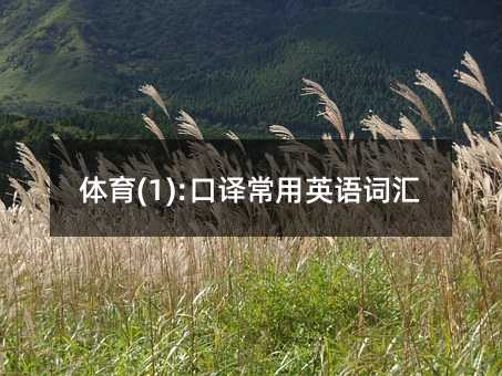�w��(1):���g����Ӣ�Z�~�R