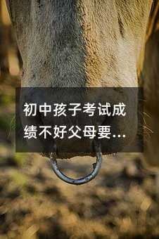 初中孩子考試成績不好父母要怎么做