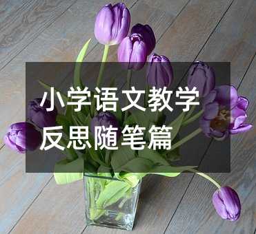 С�W(xu��)�Z(y��)�Ľ̌W(xu��)��˼�S�Pƪ