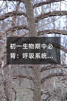 初一生物期中必背:呼吸系統知識點全梳理,看完多拿15分!