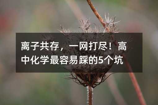 �x�ӹ��棬һ�W��M�����л��W�����ײȵ�5����