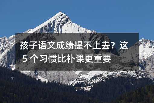 �����Z�ĳɿ��᲻��ȥ���@ 5 �����T���a�n����Ҫ