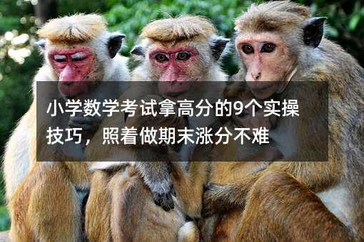 小學數學考試拿高分的9個實操技巧,照著做期末漲分不難