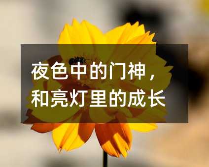 ҹɫ�е��T�񣬺�������ĳ��L(zh��ng)