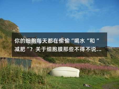 ��ļ���ÿ�춼��͵͵����ˮ���͡��p�ʡ����P�ڼ���Ĥ��Щ���ò��f���}����