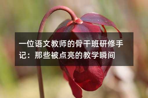 һλ�Z�Ľ̎��ĹǸɰ�������ӛ����Щ���c���Ľ̌W˲�g