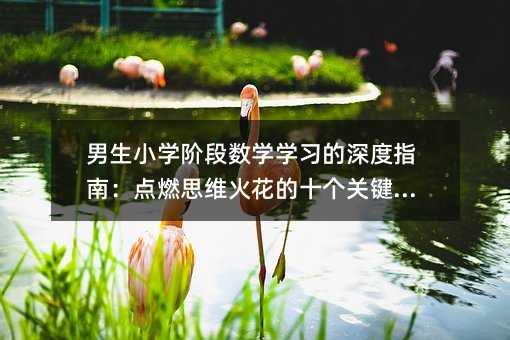 ����С�W�A�Δ��W�W�������ָ�ϣ��cȼ˼�S�𻨵�ʮ���P�I����