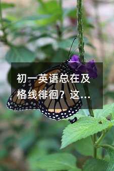 ��һӢ�Z���ڼ����ǻ����@λ�����εġ����k������׌���Ӱ�����������u