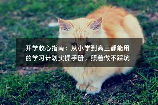 �_�W����ָ�ϣ���С�W�����������õČW��Ӌ�������փԣ����������ȿ�