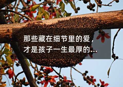 ��Щ���ڼ�(x��)��(ji��)��Đۣ����Ǻ���һ�����ĵ���