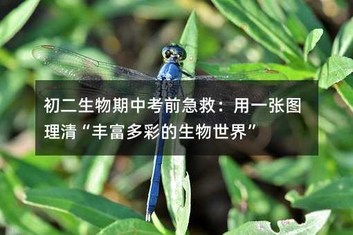 �����������п�ǰ���ȣ���һ���D���塰�S����ʵ��������硱