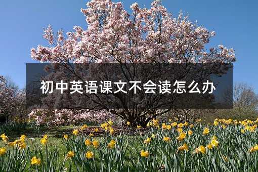初中英語(yǔ)課文不會(huì)讀怎么辦
