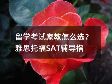 ��W��ԇ�ҽ���ô�x����˼�и�SAT�o��ָ��