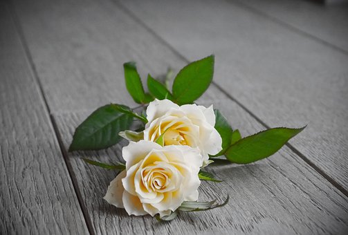 ��Ύ����������ӿ˷��W�������������W��Ŀ��